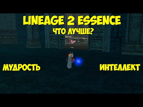 Мудрость VS Интеллект в Lineage 2 Essence.