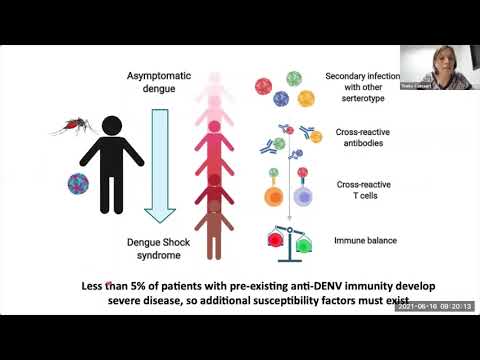 Video: Een Opkomende Rol Voor Het Ontstekingsremmende Cytokine Interleukine-10 Bij Dengue-virusinfectie