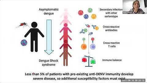 Immune responses after dengue virus infection: friend or foe? by Dr. Tineke Cantaert