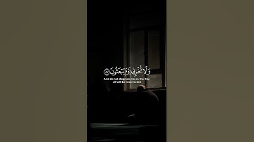 #قرءان_كريم #اكسبلور #الرحمن #الصلاه #الغلا #لايك #تلاوة_خاشعة #ترند #المصحف #ذكر_الله
