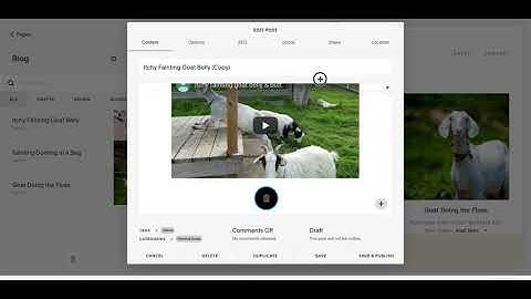 How to duplicate a Blog Post in squarespace