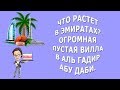 Что растет в Эмиратах|Огромная пустая вилла в Аль Гадир Абу Даби