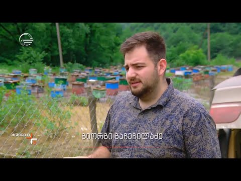 სტიქია იმერეთში