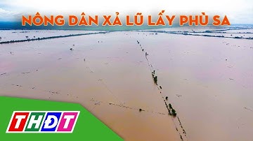 Nông dân xả lũ lấy phù sa, hướng đến lúa chất lượng cao, giảm phát thải | THDT