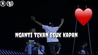 Cocok buat story wa aksi hebat CURVA BOYS PERSELA LAMONGAN