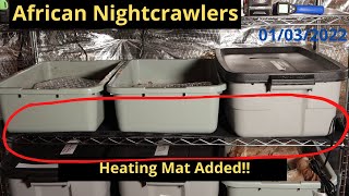 African Nightcrawlers get a Heating Mat 1/3/2022
