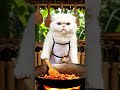 A Persian Cat is Cooking Mapo Tofu