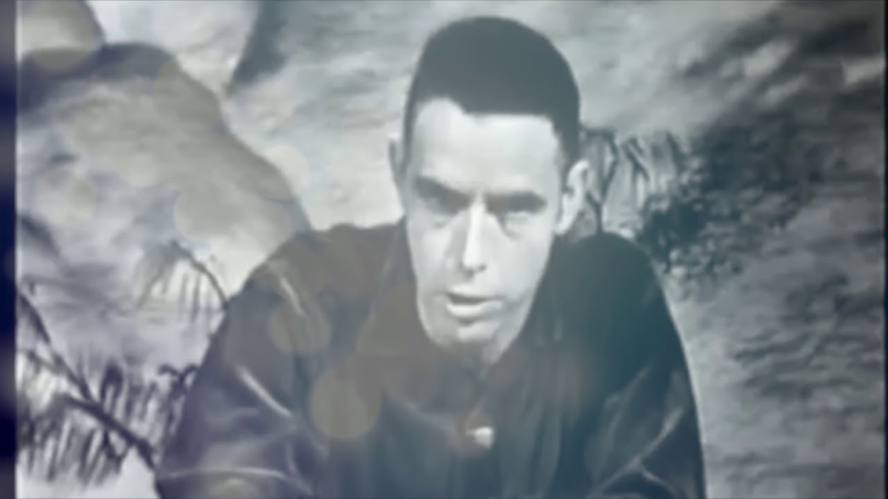 alan-watts-lectures-are-always-a-good-combo-r-lsd