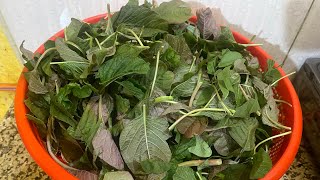 ডট শক ভজ Data Shak Baji Steam Amaranth Leaf Fry Bengali