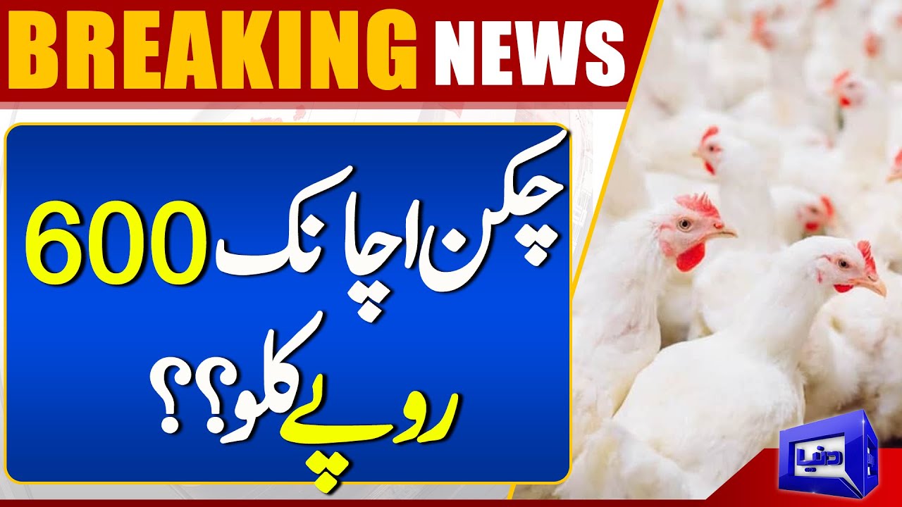 Chicken Price Shockingly Increased Latest Price Of Chicken Dunya chicken-price-shockingly-increased-latest-price-of-chicken-dunya
