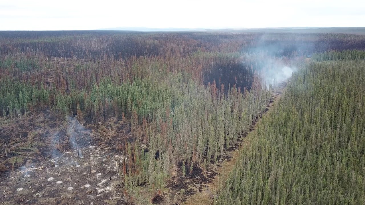 Specialized Drone Video from the Fireline: Aerial Footage of Protected Allotment near Chalkyitsik AK