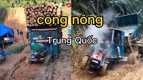 xe công nông Trung Quốc chở gỗ cực khoẻ p3