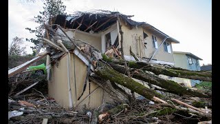 Windstorm Topples Tree, Traps Tacoma Woman In Bed