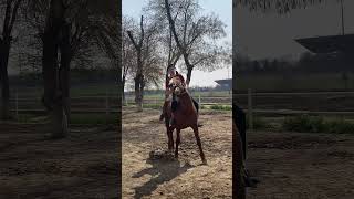 Riding a horse with Kamroncik #rek #coding #uzbekistan #horse #rider #horseriding #motivation