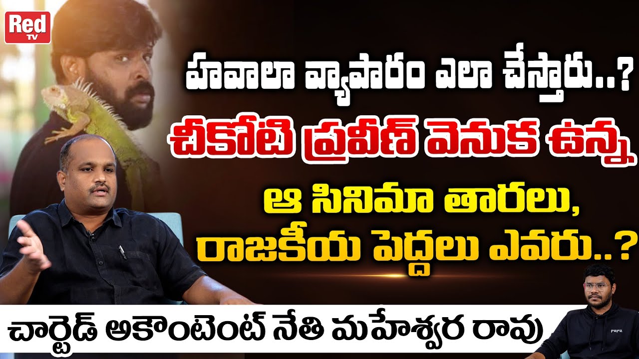 Chartered Accountant Nethi Maheswara Rao Reveals Unknown Facts About Chikoti Praveen Kumar | Red TV
