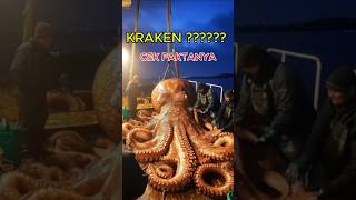 Download Lagu Kraken di Dunia Nyata beneran Ada Loh #viralshort #viral #kraken #hewan #monster #raksasa MP3
