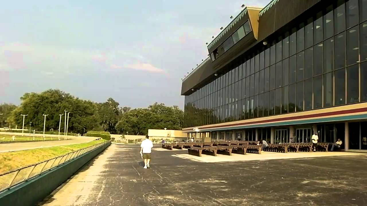 Outside view of Orange Park Kennel Club YouTube