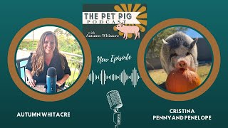 Piggy Stardom: The TikTok Tales of Penny and Penelope by Autumn Acres Mini Pet Pigs 66 views 4 months ago 34 minutes