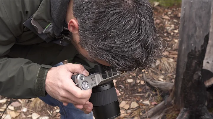 Hasselblad X1D Hands-On Field Test