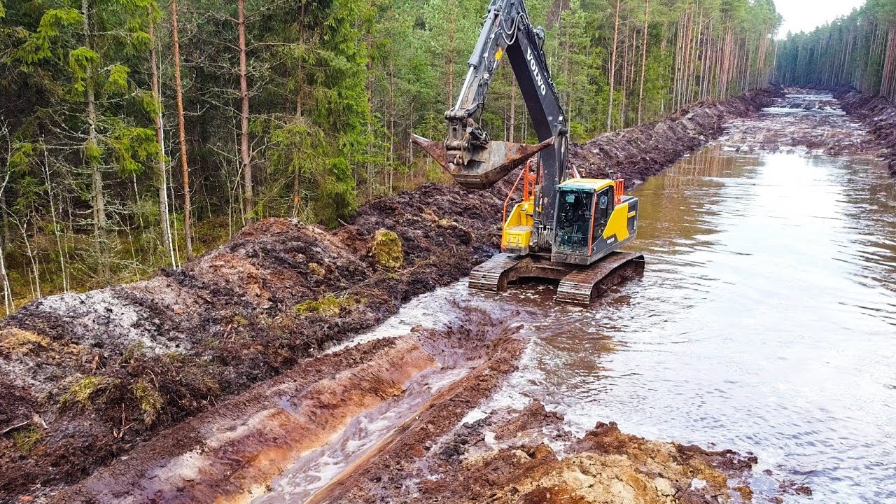 Прощай большая лужа