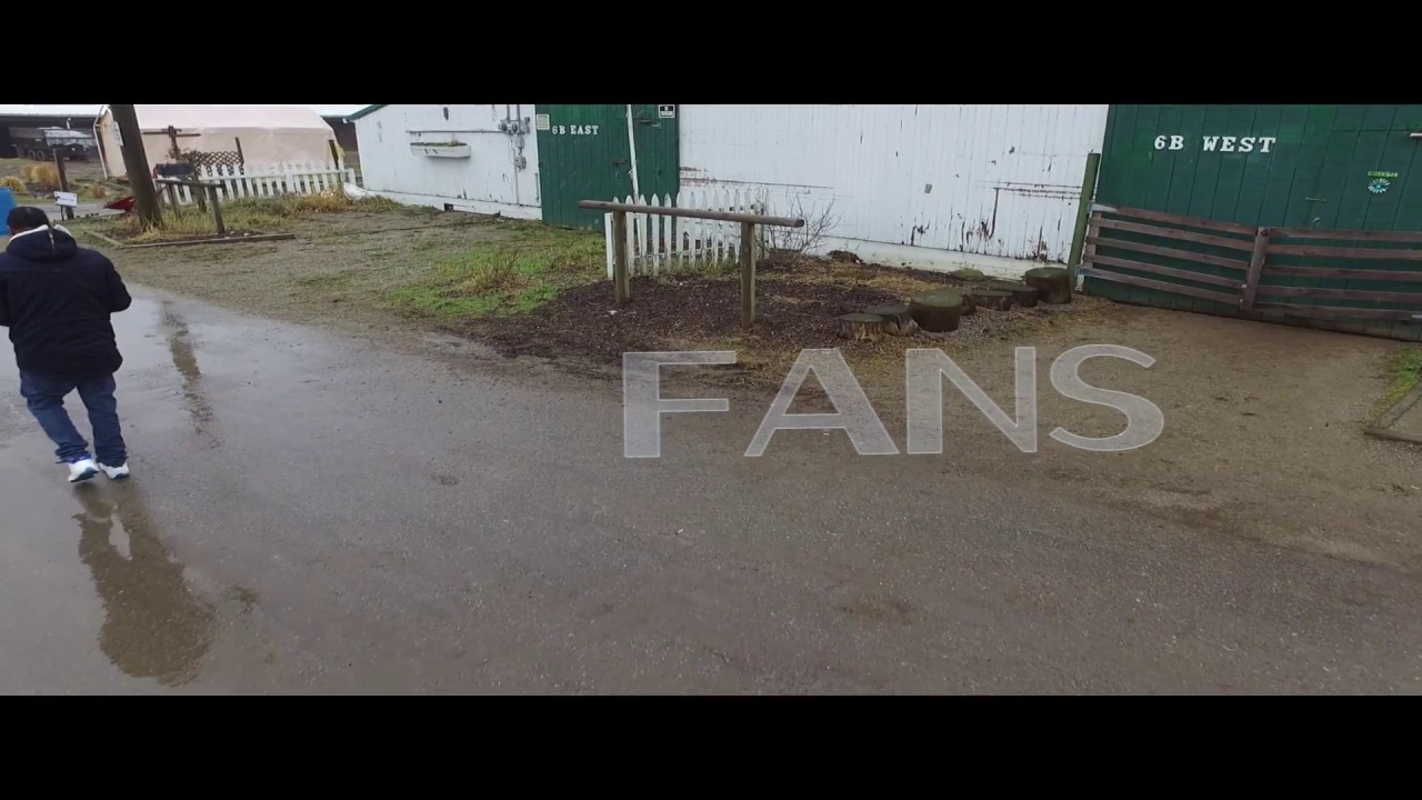 Moley - Fans - Official Video