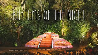 Rhythms Of The Night: INCREDIBLE Puerto Vallarta Dinner Show [Vallarta Adventures]