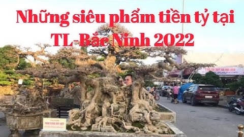 Những siêu phẩm tiền tỷ tại triển lãm Bắc Ninh 2022