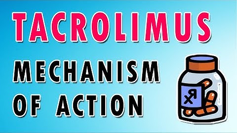 Tacrolimus and Cyclosporine - Calcineurin Inhibitors Mechanism of Action, Uses, and Side Effects