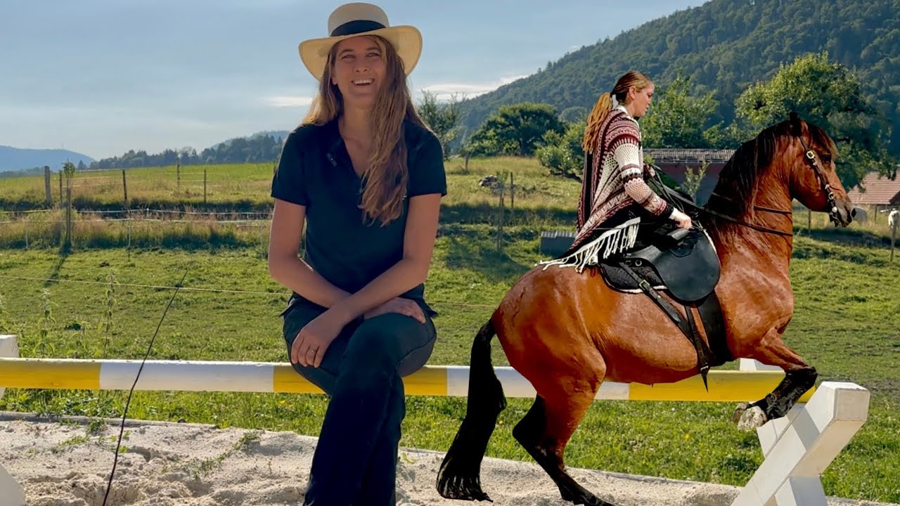 Mein Herzenspferd ist TOT - wie geht es weiter? Ich zeige Ausschnitte meines Jungpferdetrainings