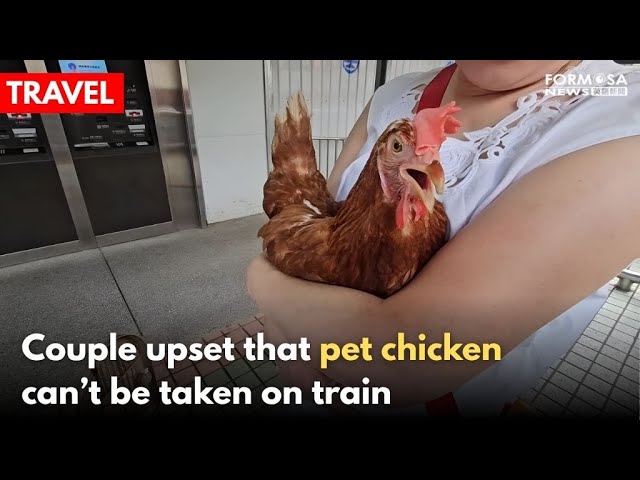 Couple stopped from taking pet hen on train｜Taiwan News