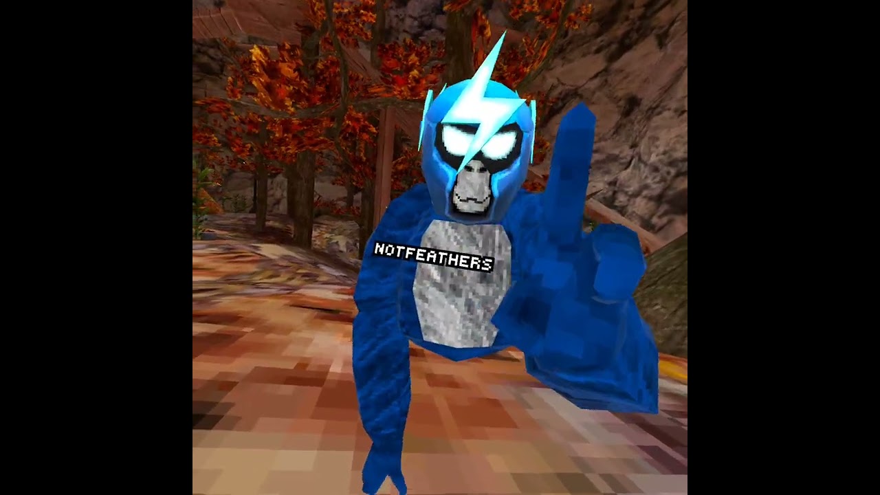 I met Feather G tag.