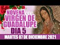 Novena a la Virgen de Guadalupe 🙏 Día 5   Hoy 07 de diciembre de 2021  ORACIÓN CATÓLICA