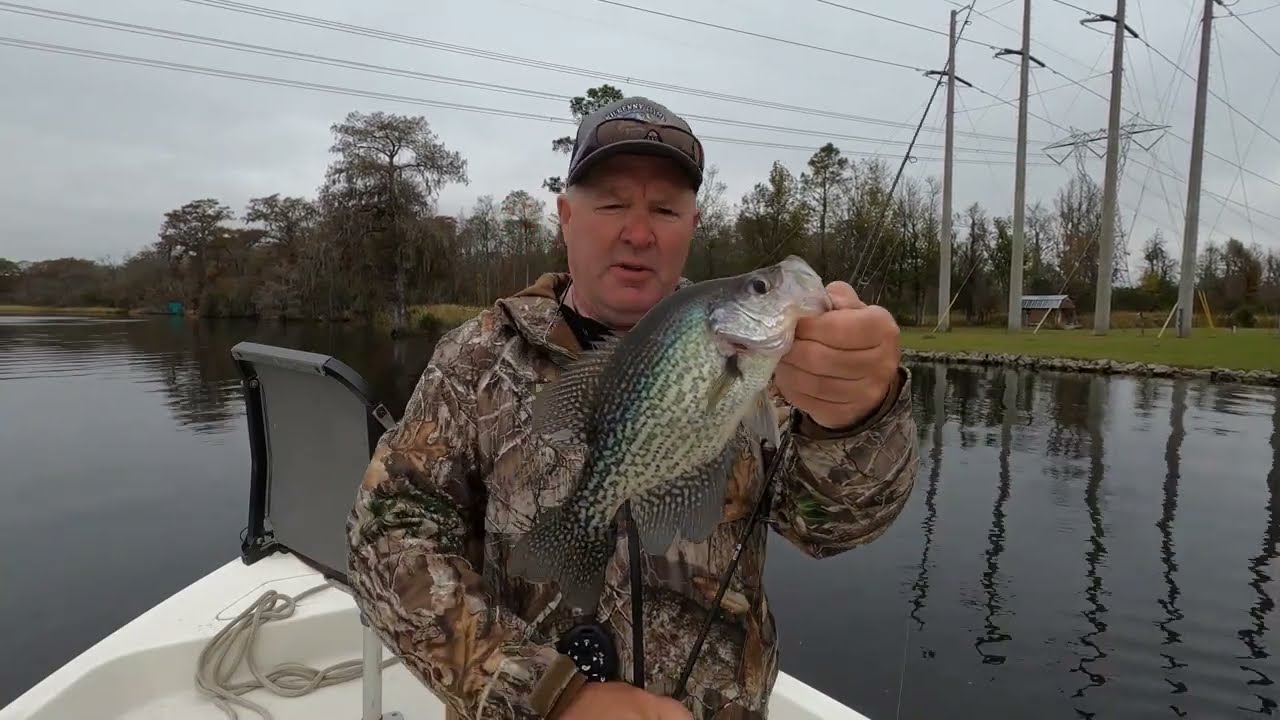 best light tackle saltwater spinning reel Amazon.com : Dr.Fish Long Shot 10000 Saltwater Spinning Reel Surf Fishing,  13+1 BBS, 40LB Max Drag, Ultra High Capacity, Heavy Duty Surf Casting Reel  Offshore Catfish Ocean Sea : Sports & Outdoors