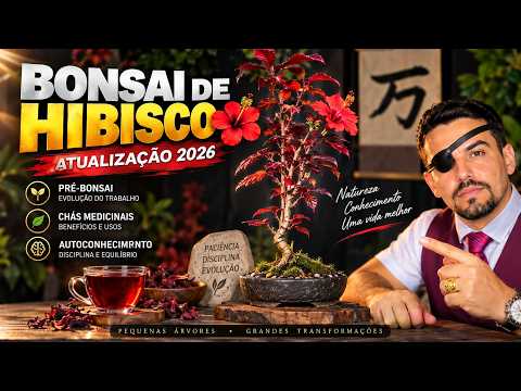 BONSAI DE HIBISCO 🌺 Evolução do Pré-Bonsai em 2026 | Formação e Cuidados