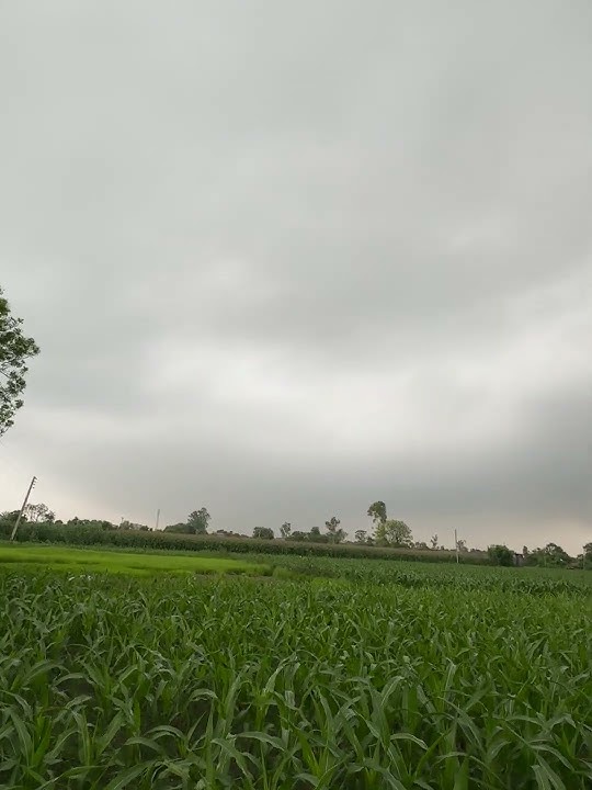 Yahan ni hoti barish