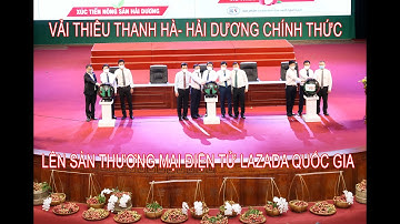 HỘI NGHỊ  TRỰC TIẾP-TRỰC TUYẾN QUỐC TẾ XÚC TIẾN TIÊU THỤ VẢI THIỀU THANH HÀ -HẢI DƯƠNG 2021