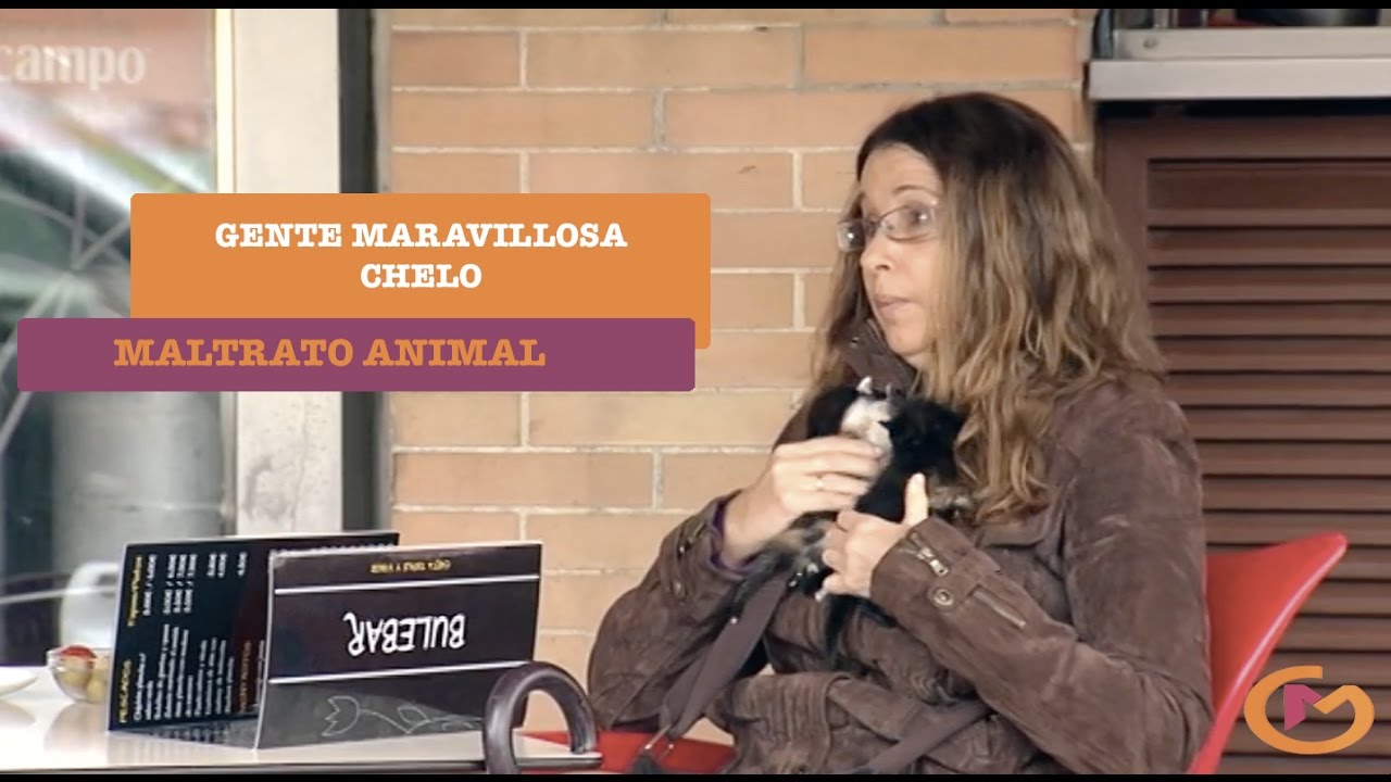 Cámaras ocultas contra el maltrato animal de los gatos | Gente Maravillosa experimento social redes sociales