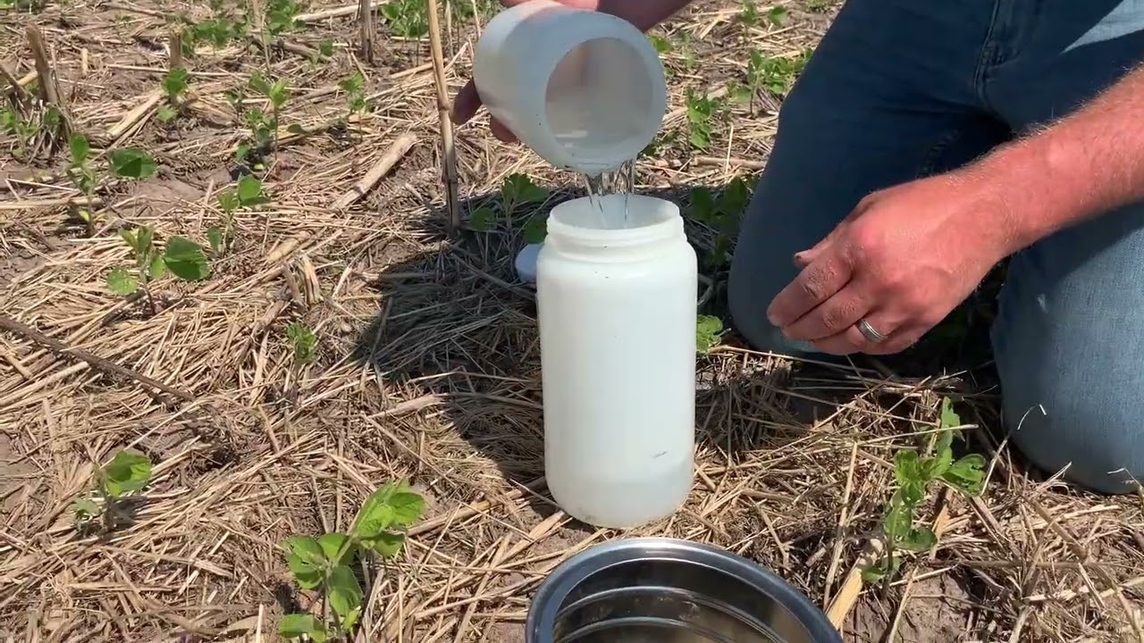 Infiltration Testing