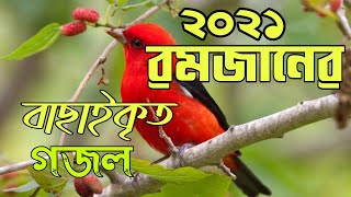 রমজানের নতুন দারুন সুন্দৱ গজল, bangla new gojol 2021jamia bangla tv