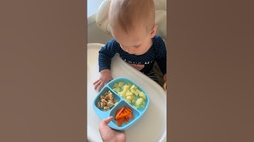 How to teach a child to eat on his own?