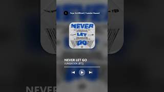 JUNGKOOK (BTS) - Never Let Go (Ringtone Cut)