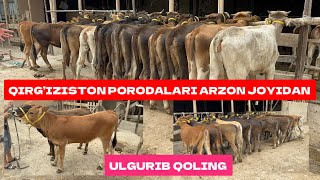 QIRG’IZISTON PARODALARI ARZON JOYIDAN ULGURIB QOLING