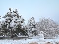 Ореховая роща. Снега по колено за пару часов. Анапа. 22.01.22