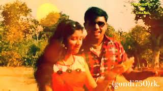 2018 Gondi New Video Bari Nilsi Sudanthi Mk Ankush