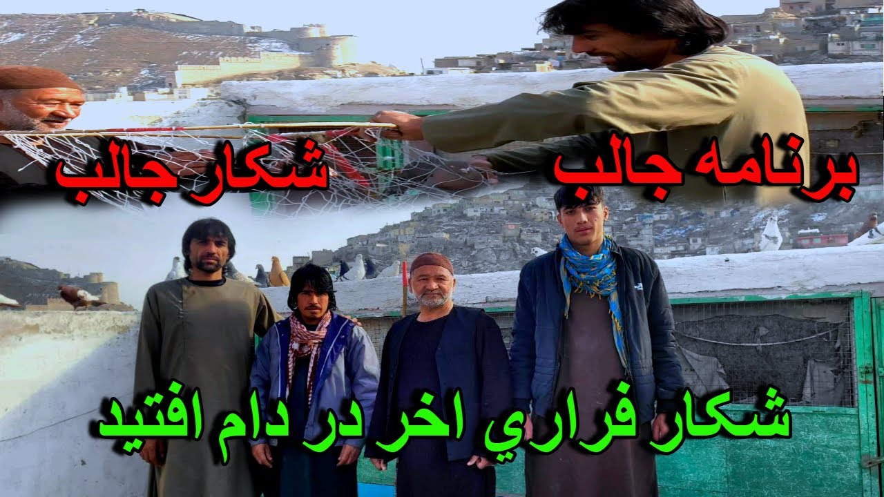 شکار فراري بازګشت/ برنامه جالب ماما ظاهر/ در مدت خیلی کم کفترها را اماده کرده/ Pigeon Hunting