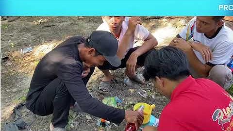 Pemberdayaan Desa Pematang: Inovasi Probiotik Pada Budidaya Ikan Nila dan Lele di Kolam Terpal