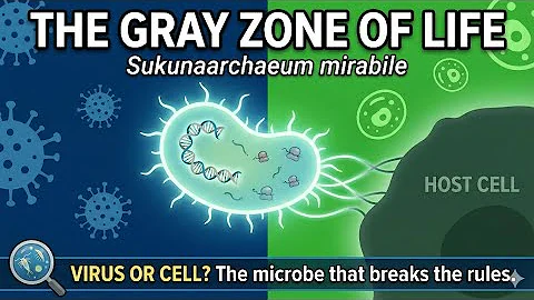 Sukunaarchaeum mirabile: The Organism That Breaks Biology