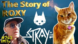 Кошка Рокси История Жизни [STRAY] Анталья Турция Игровой Фильм