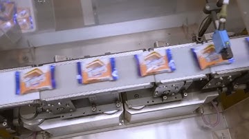 Cân băng tải động Checkweigher Wipotec cho sản phẩm bánh quế