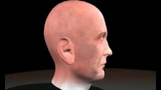 MAYA DEMOREEL.avi